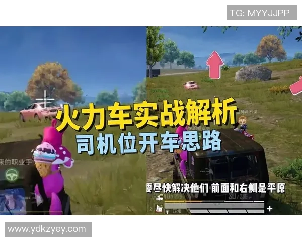 和平精英战术解析：BLG中路突破的策略与执行全景揭秘