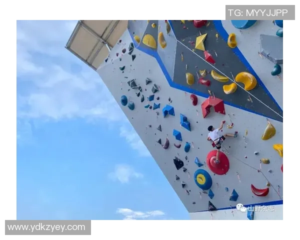 南京攀岩队与广州攀岩队比赛复盘分析及经验总结