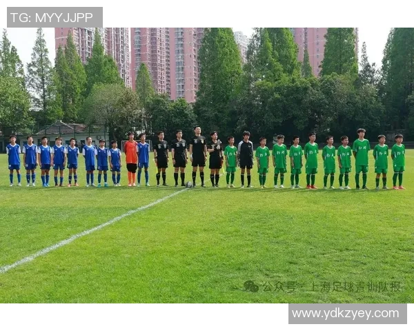 深入探讨上海足球队不同风格的节奏对比与战术解析